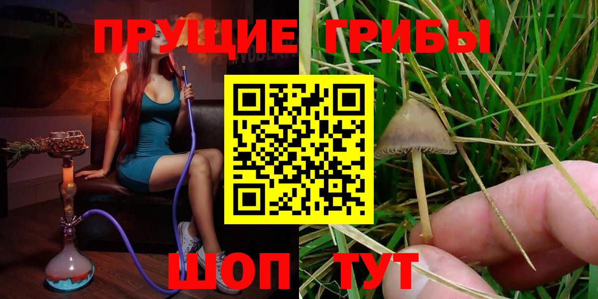 Сафоново  Галлюциногенные грибы Psilocybine cubensis  Вход с VPN 