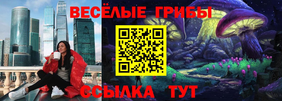 Псилоцибиновые грибы прущие грибы Сафоново